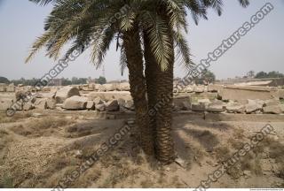 Photo Reference of Karnak Temple 0014